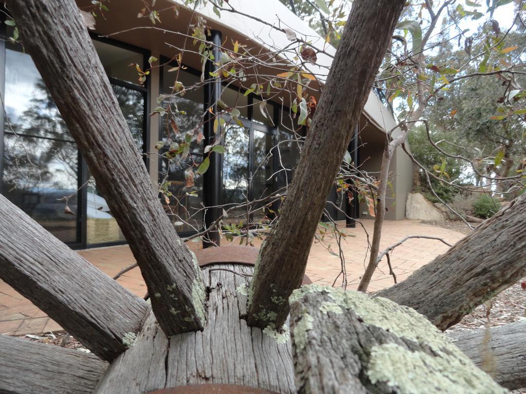 Down To Earth Farm Retreat Διαμέρισμα Sarsfield Εξωτερικό φωτογραφία